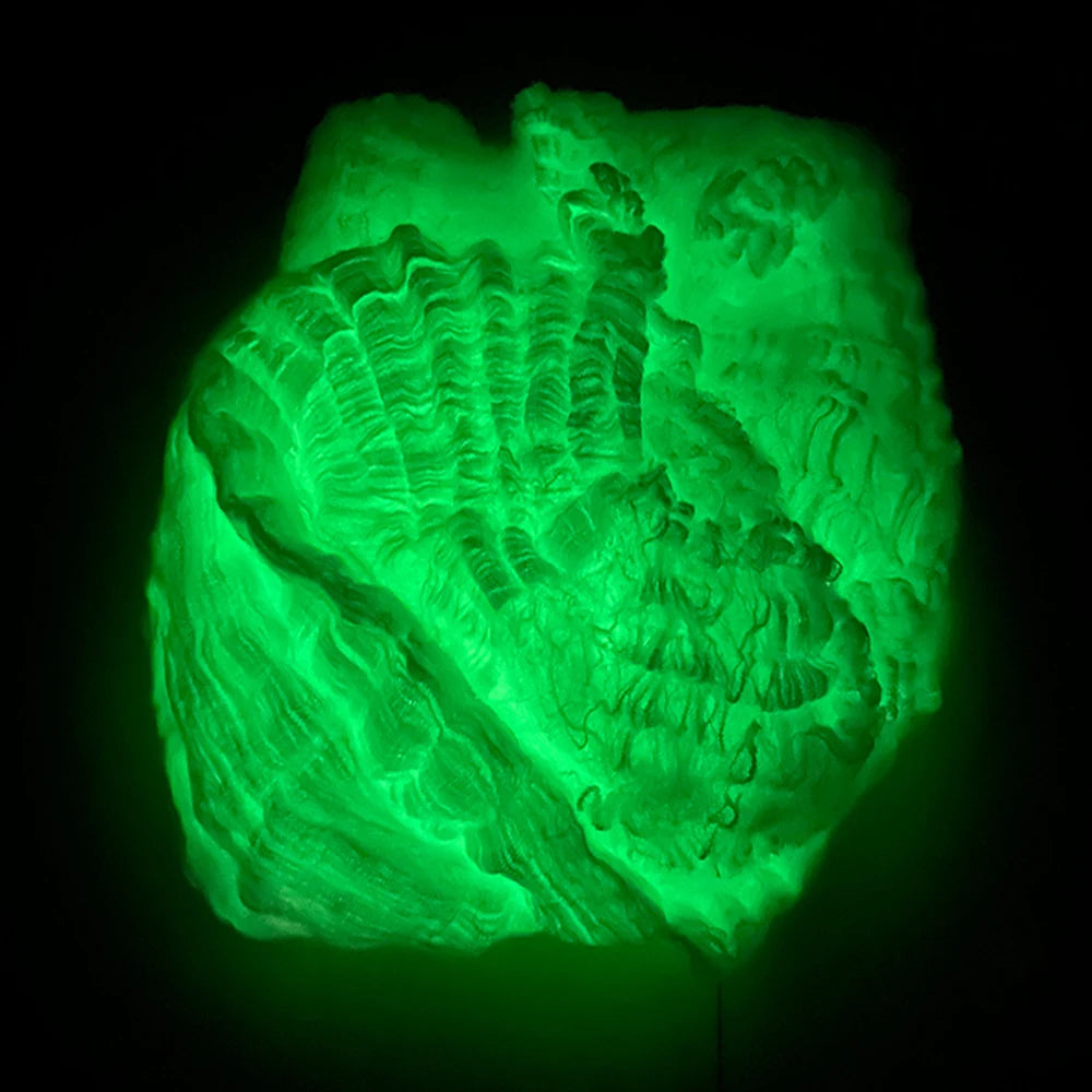 Glowing Spider Web Halloween – Fluorescent Outdoor Decoration
